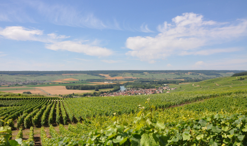 Scot Epernay et Région
